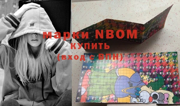 стафф Карпинск