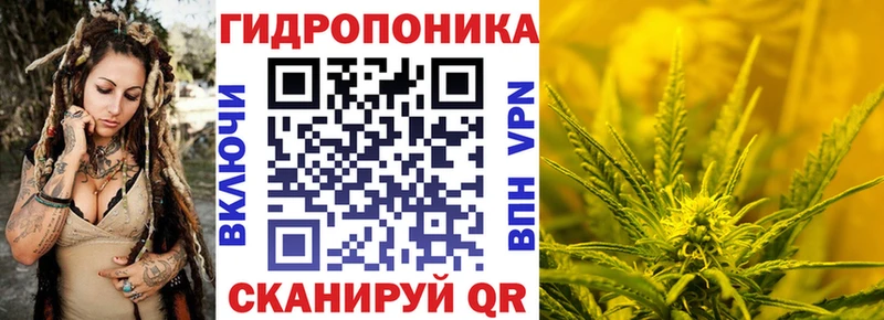 Купить закладки  Малая Вишера  Конопля план 
